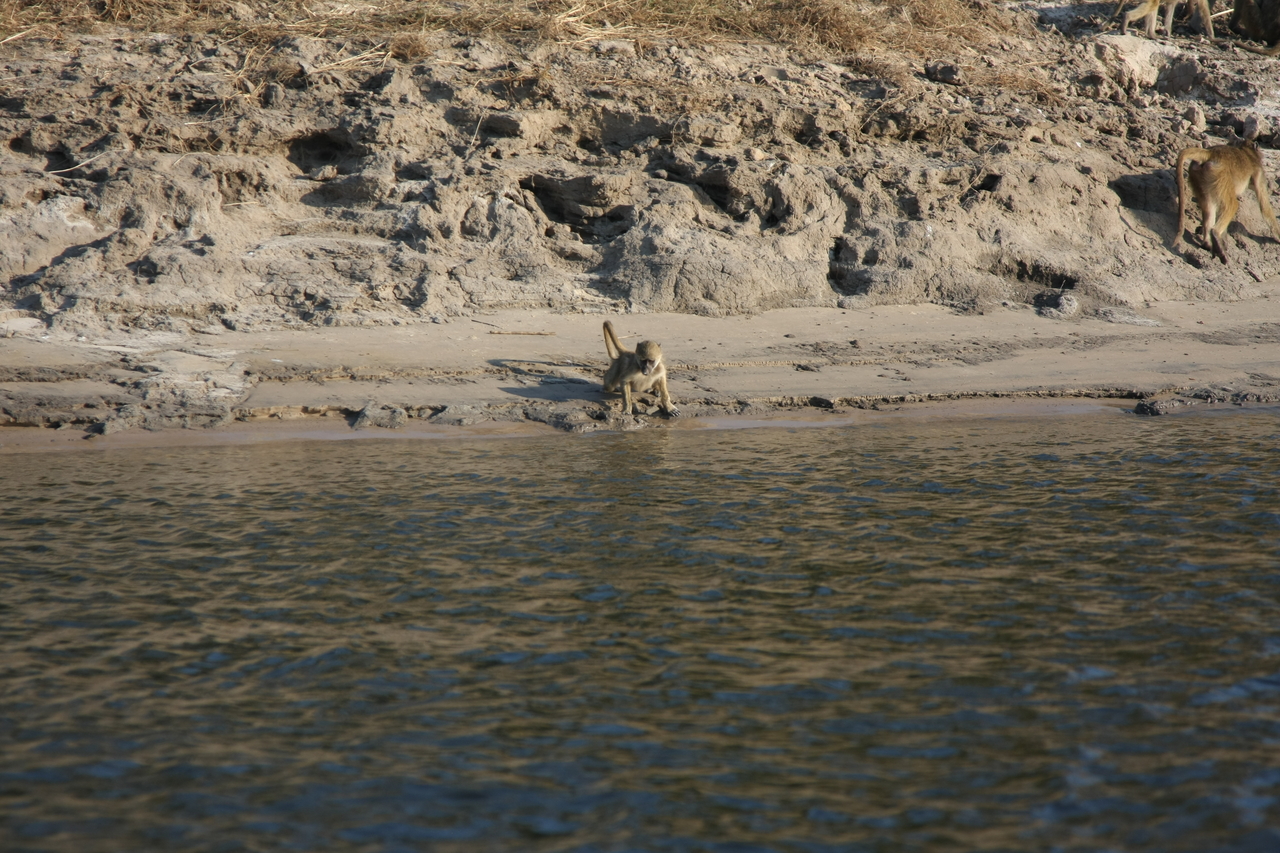 [28293] 2016_07_02_10_28_22_Africa_Canon_EOS_40D_IMG__00077.jpg