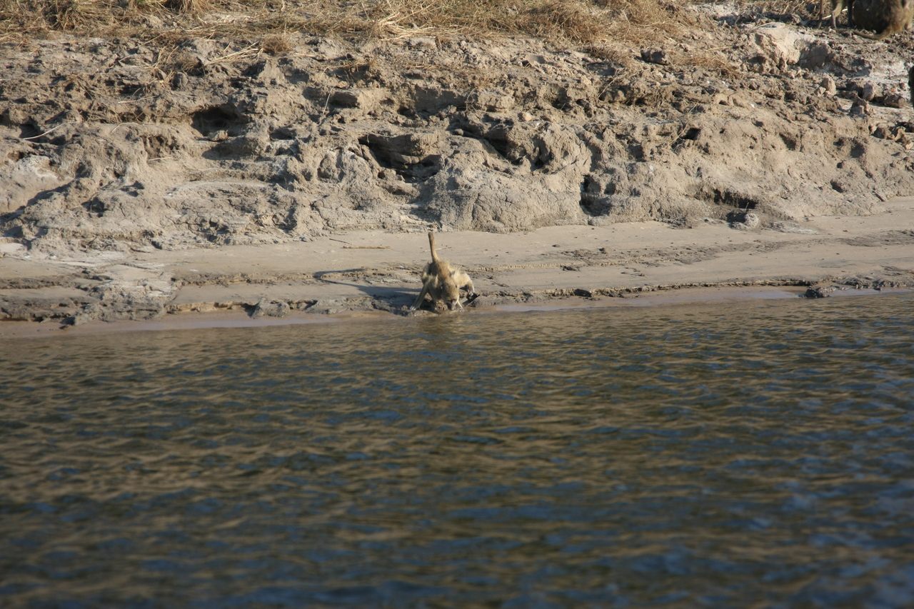 [28305] 2016_07_02_10_28_24_Africa_Canon_EOS_40D_IMG__04625.jpg