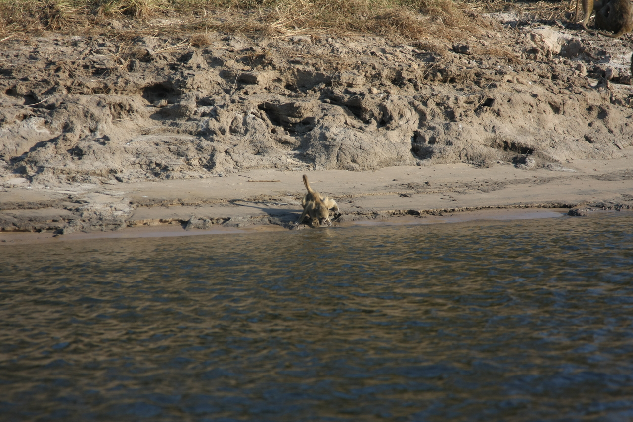 [28312] 2016_07_02_10_28_25_Africa_Canon_EOS_40D_IMG__12073.jpg
