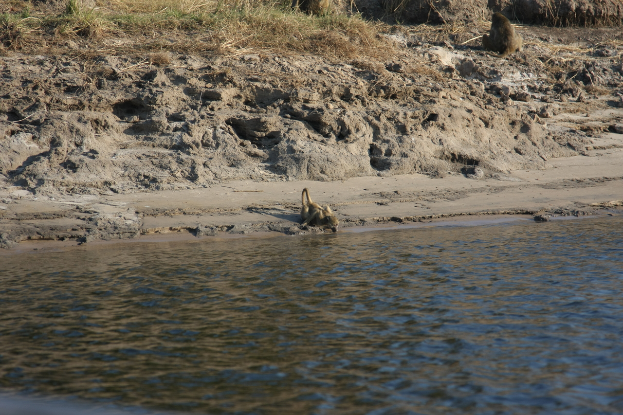 [28318] 2016_07_02_10_28_43_Africa_Canon_EOS_40D_IMG__12075.jpg