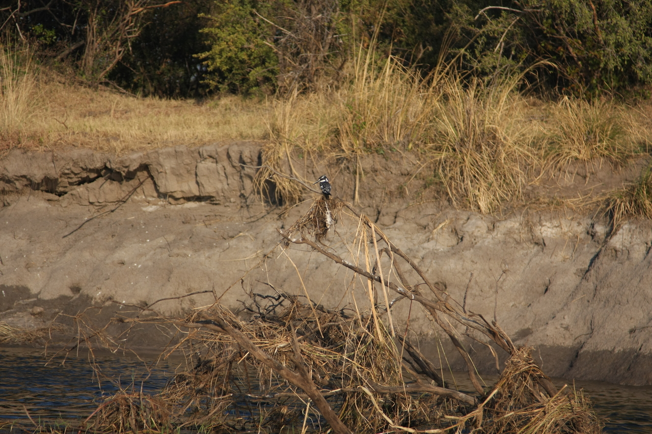 [28342] 2016_07_02_10_44_23_Africa_Canon_EOS_40D_IMG__12084.jpg