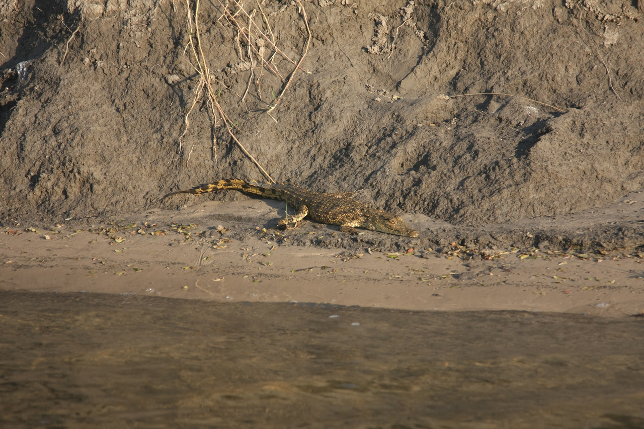 [28364] 2016_07_02_10_49_24_Africa_Canon_EOS_40D_IMG__12090.jpg