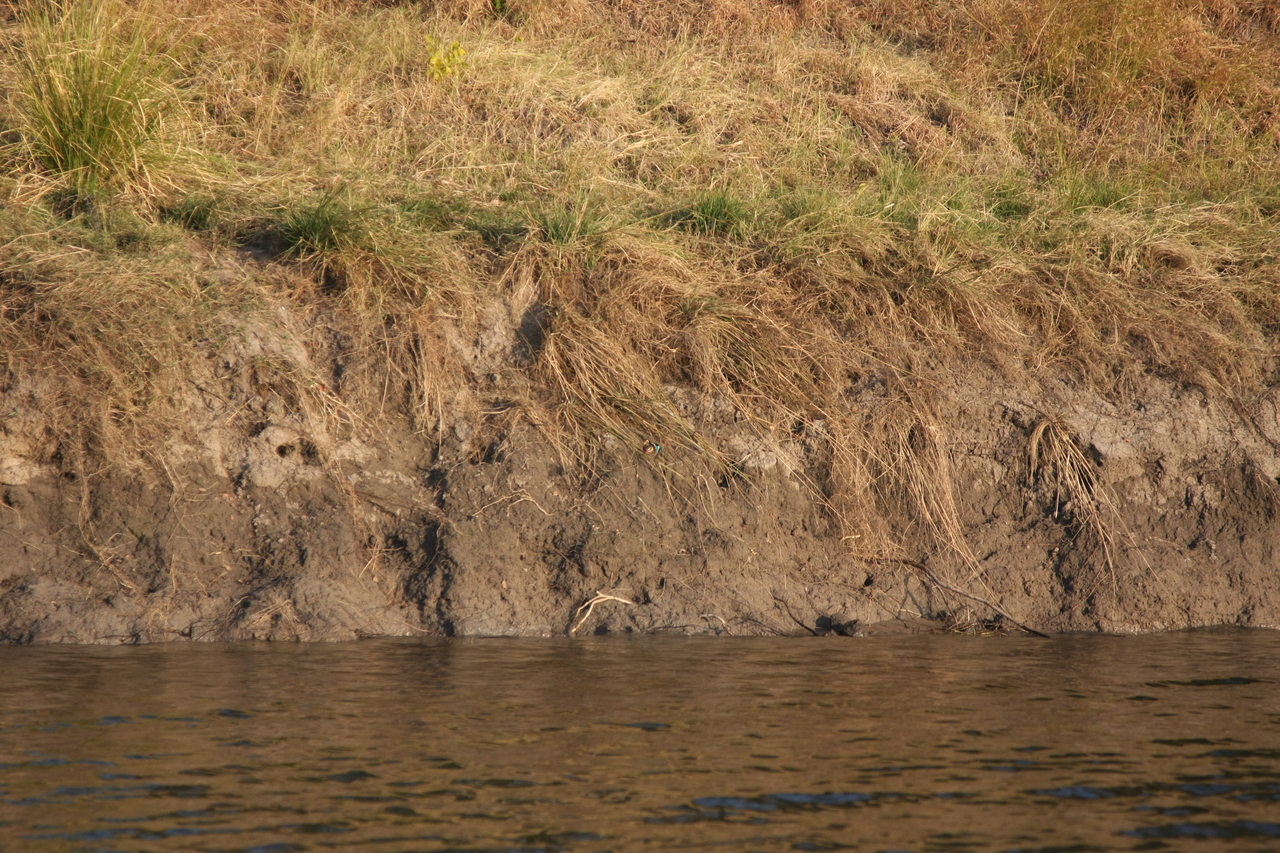 [28404] 2016_07_02_10_57_46_Africa_Canon_EOS_40D_IMG__04659.jpg