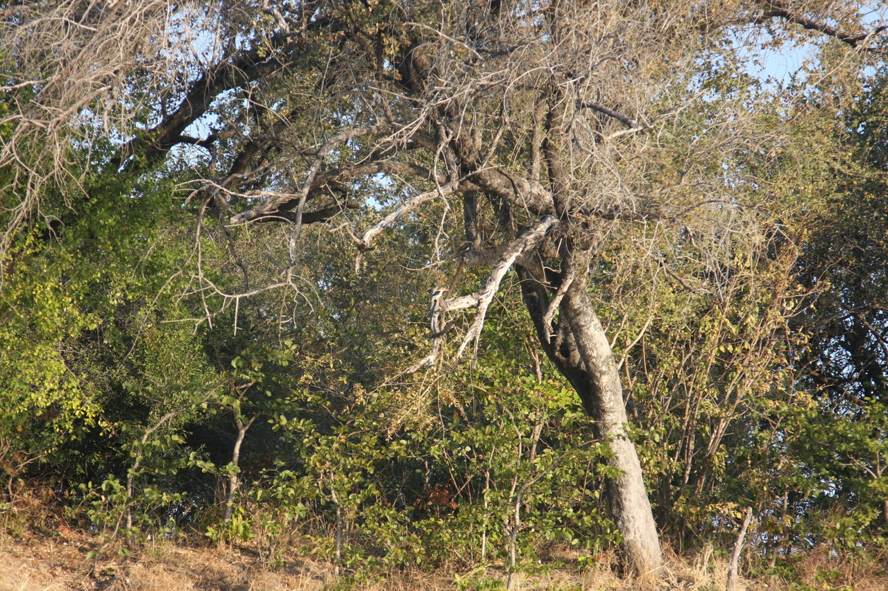 [28413] 2016_07_02_10_57_53_Africa_Canon_EOS_40D_IMG__00120.jpg