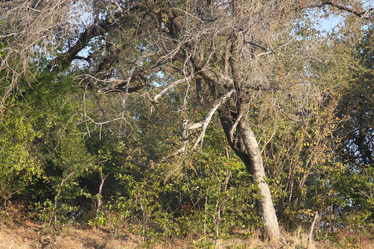 [28418] 2016_07_02_10_57_53_Africa_Canon_EOS_40D_IMG__12111.jpg