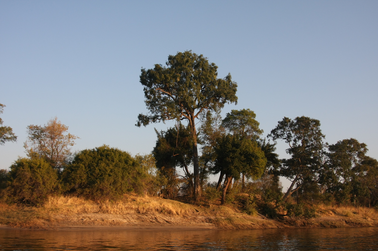 [28475] 2016_07_02_11_14_10_Africa_Canon_EOS_40D_IMG__12130.jpg