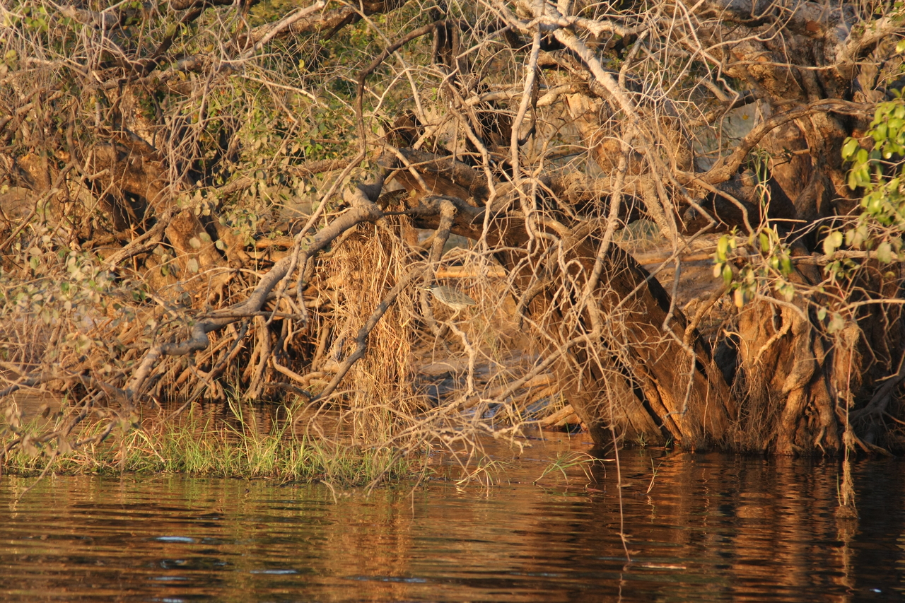 [28512] 2016_07_02_11_25_30_Africa_Canon_EOS_40D_IMG__00154.jpg