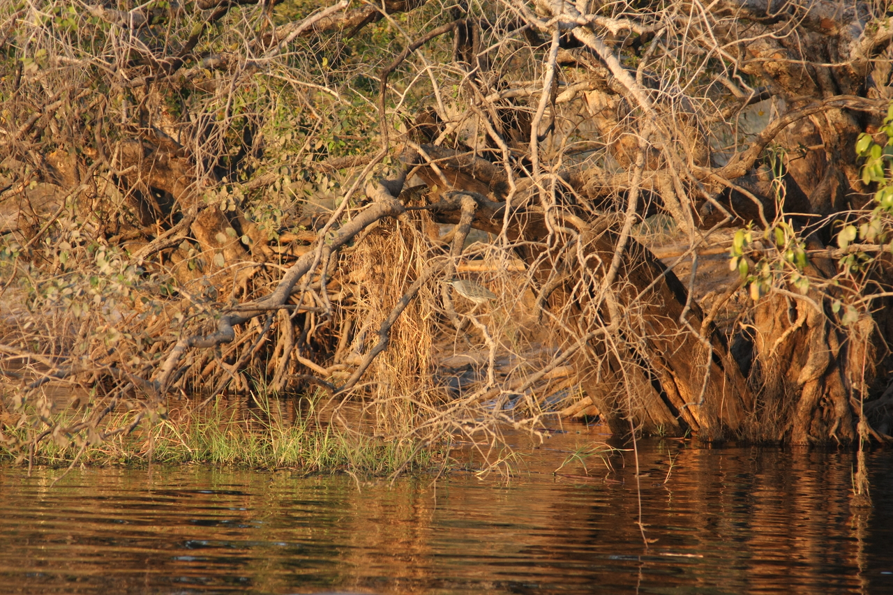 [28515] 2016_07_02_11_25_30_Africa_Canon_EOS_40D_IMG__04698.jpg