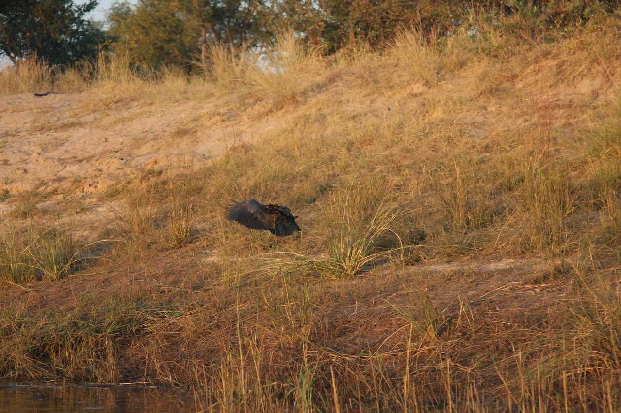 [28540] 2016_07_02_11_28_59_Africa_Canon_EOS_40D_IMG__00165.jpg