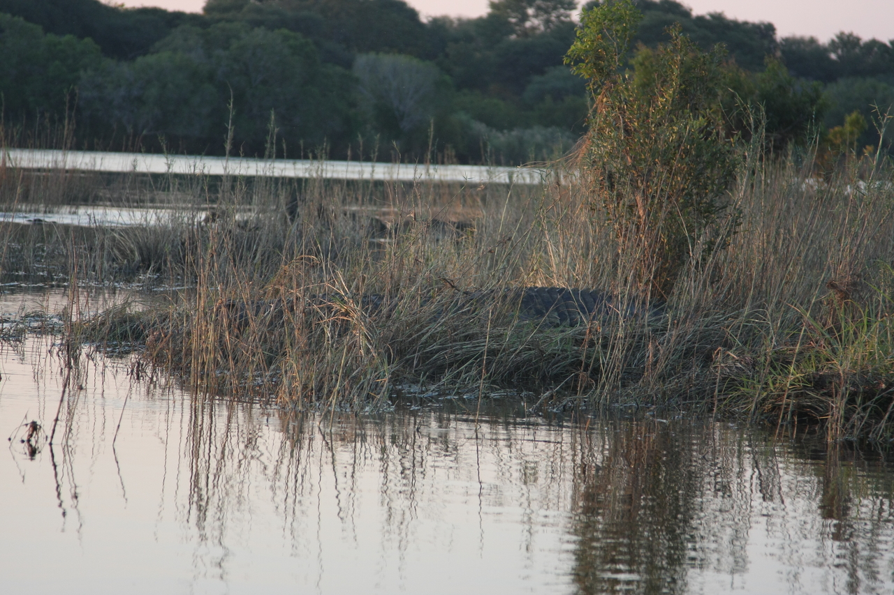 [28591] 2016_07_02_11_34_17_Africa_Canon_EOS_40D_IMG__12171.jpg
