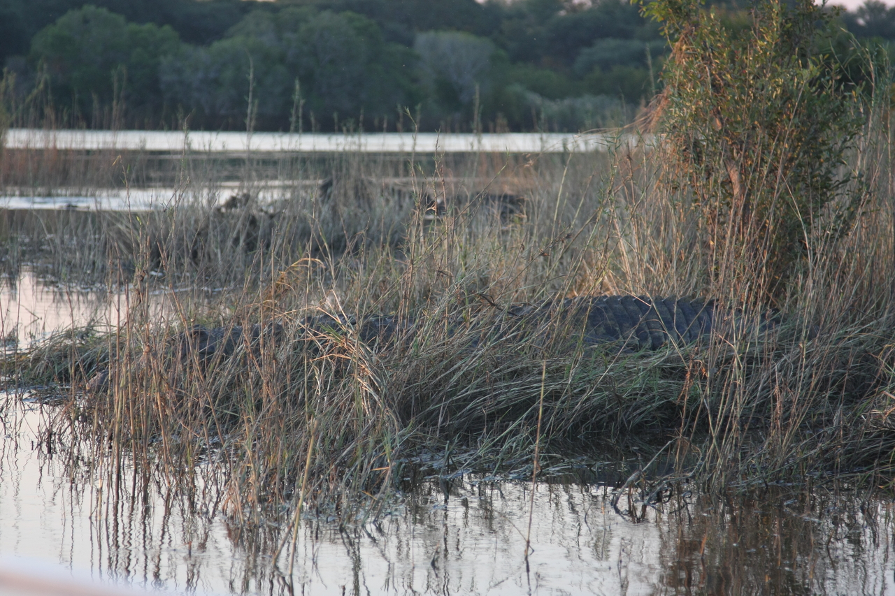 [28598] 2016_07_02_11_34_48_Africa_Canon_EOS_40D_IMG__12174.jpg