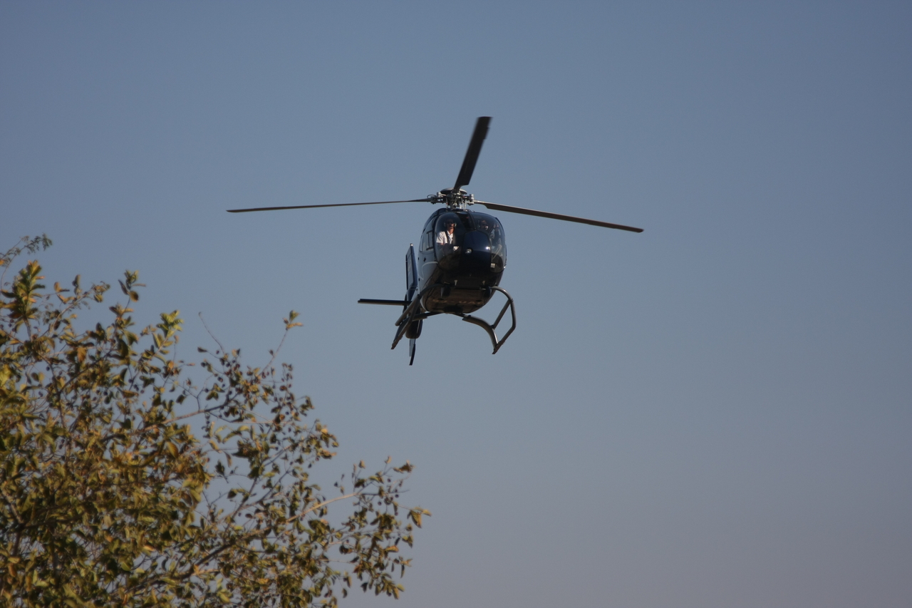 [29219] 2016_07_03_02_50_57_Africa_Canon_EOS_40D_IMG__05388.jpg