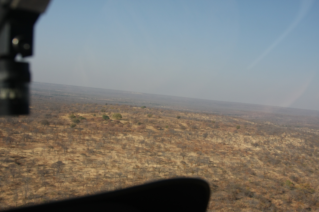 [29260] 2016_07_03_02_57_22_Africa_Canon_EOS_40D_IMG__00691.jpg