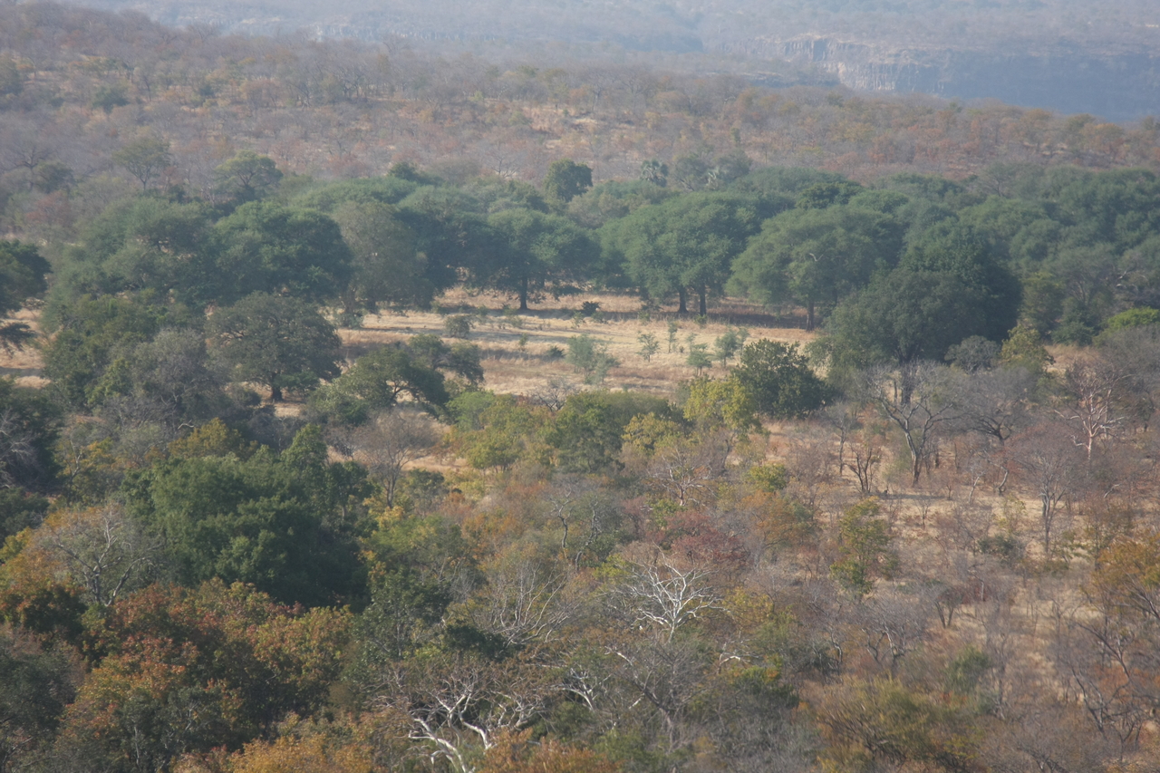 [29269] 2016_07_03_02_58_04_Africa_Canon_EOS_40D_IMG__05554.jpg