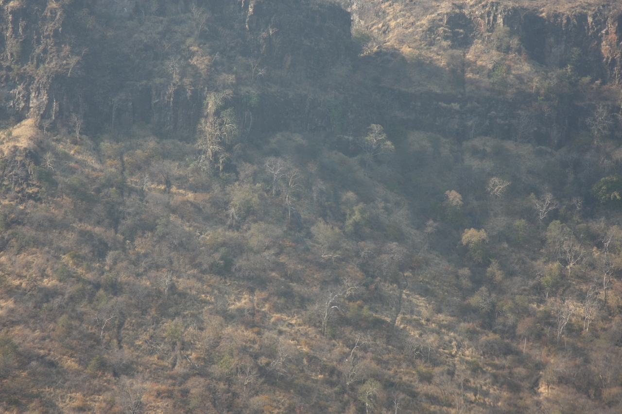 [29282] 2016_07_03_02_58_37_Africa_Canon_EOS_40D_IMG__05598.jpg