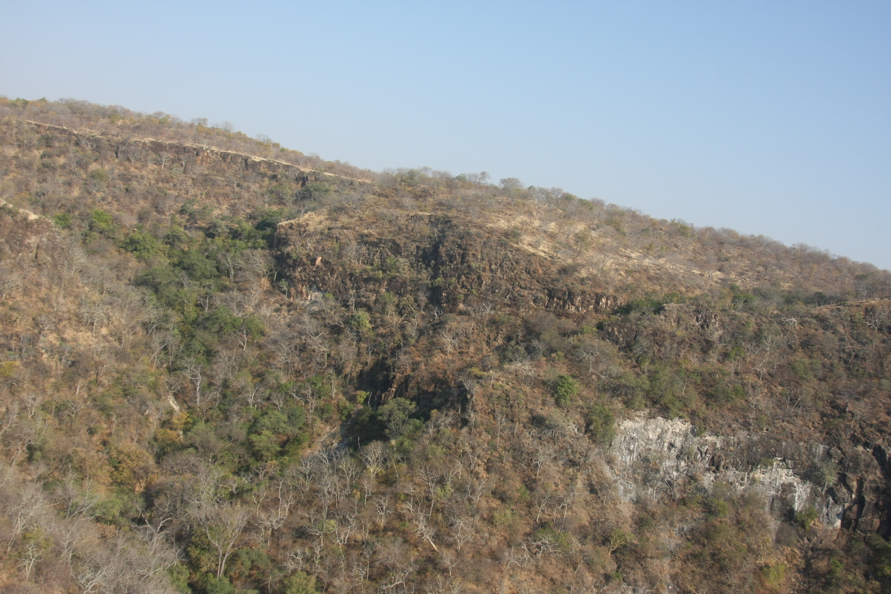 [29458] 2016_07_03_03_00_38_Africa_Canon_EOS_40D_IMG__00045.jpg