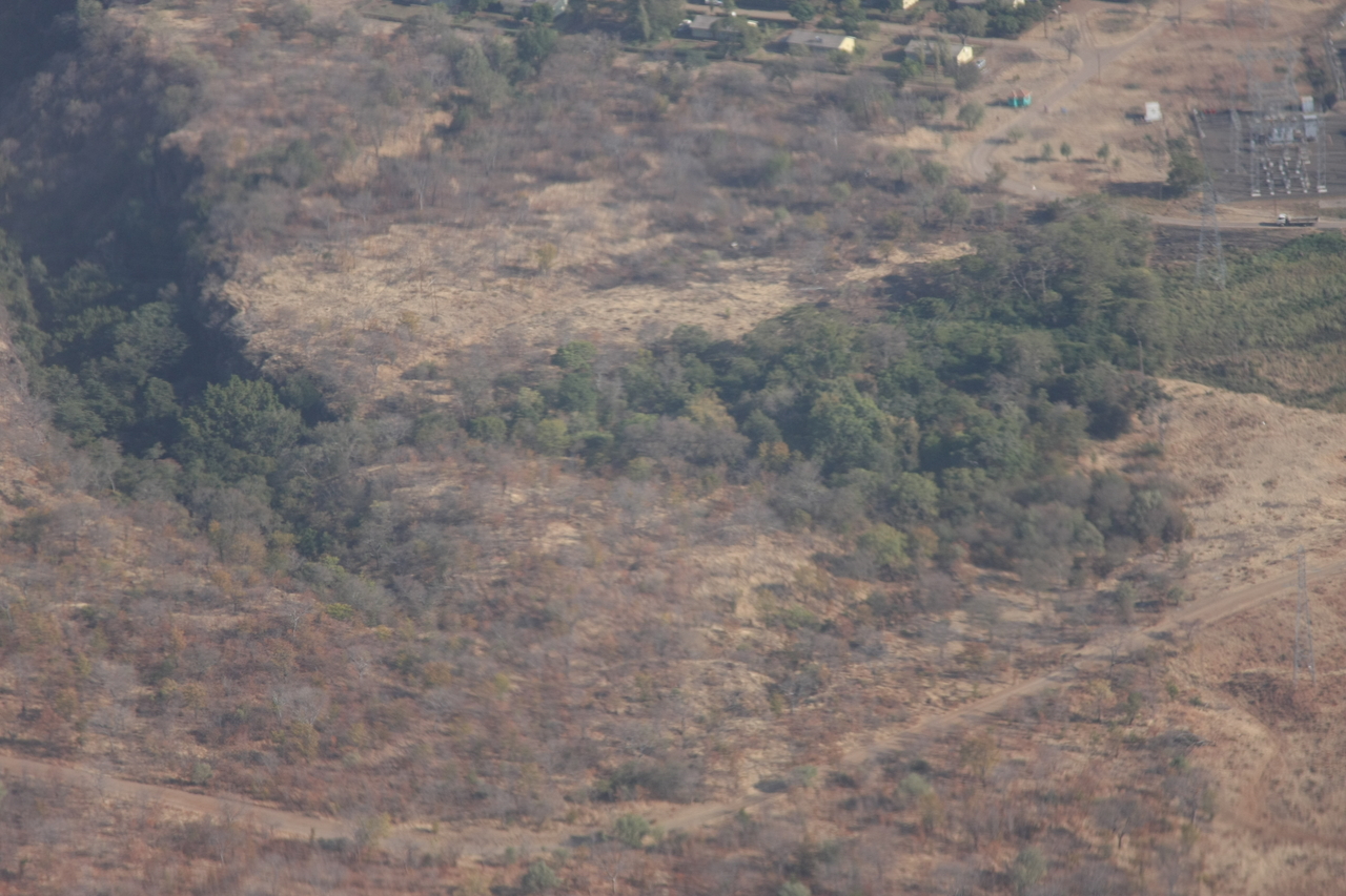 [29557] 2016_07_03_03_04_47_Africa_Canon_EOS_40D_IMG__00082.jpg