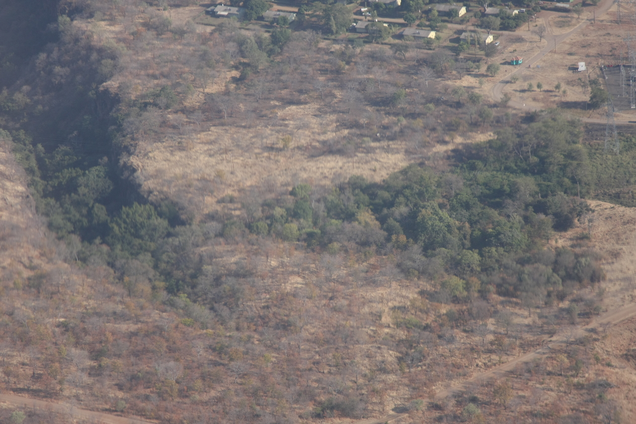 [29565] 2016_07_03_03_04_48_Africa_Canon_EOS_40D_IMG__12361.jpg