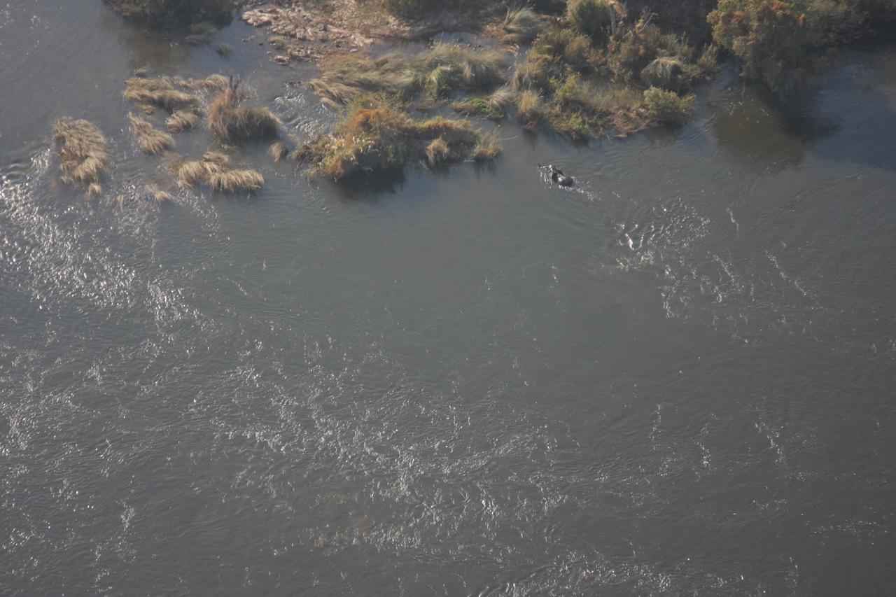 [30193] 2016_07_03_03_11_00_Africa_Canon_EOS_40D_IMG__12592.jpg