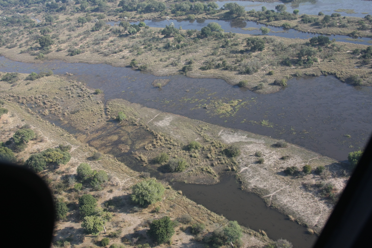 [30249] 2016_07_03_03_12_03_Africa_Canon_EOS_40D_IMG__12615.jpg