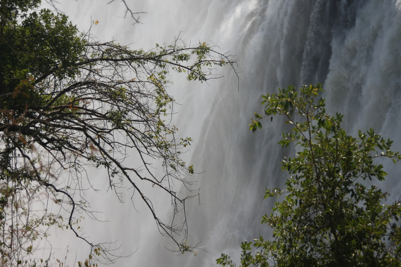 [31270] 2016_07_03_08_34_32_Africa_Canon_EOS_40D_IMG__05522.jpg