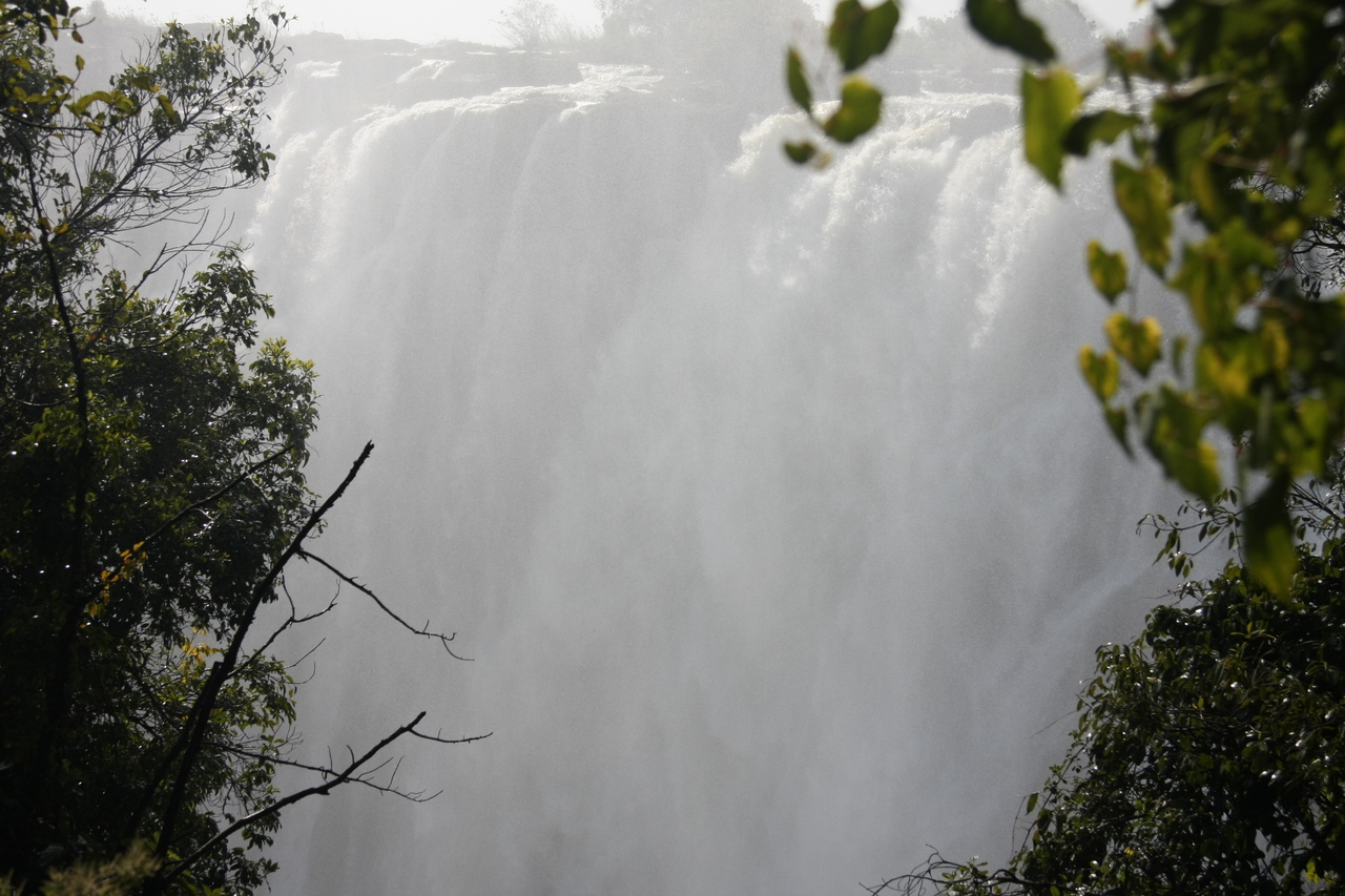 [31318] 2016_07_03_08_37_49_Africa_Canon_EOS_40D_IMG__00699.jpg