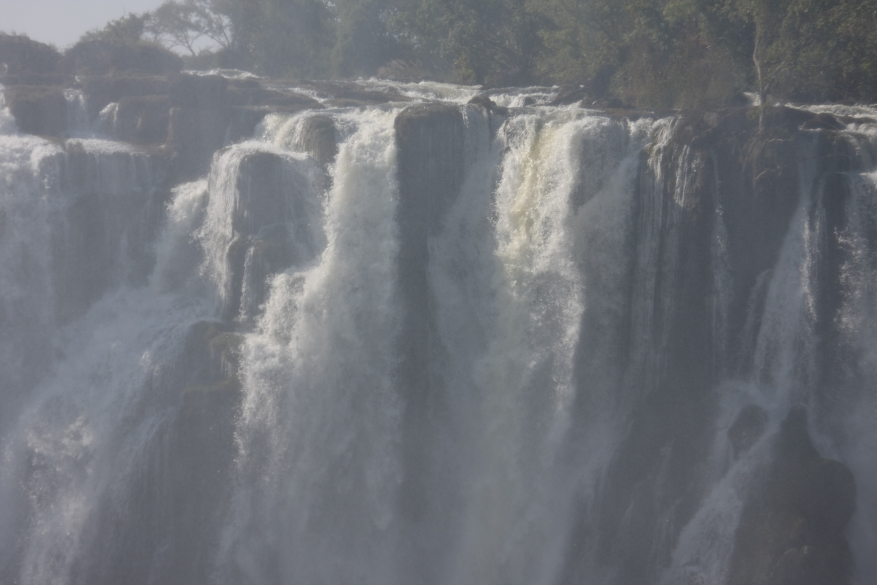[31455] 2016_07_03_08_44_20_Africa_Canon_EOS_40D_IMG__05549.jpg