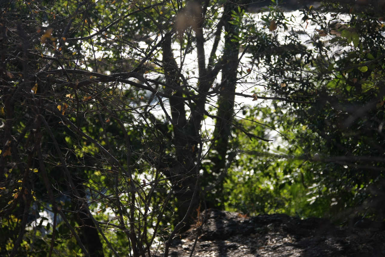 [31843] 2016_07_03_09_46_32_Africa_Canon_EOS_40D_IMG__05601.jpg