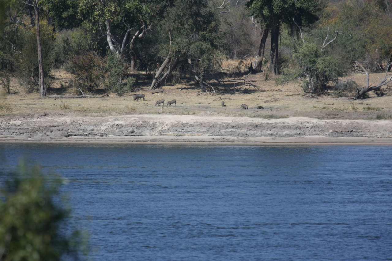 [32847] 2016_07_04_05_57_28_Africa_Canon_EOS_40D_IMG__00405.jpg