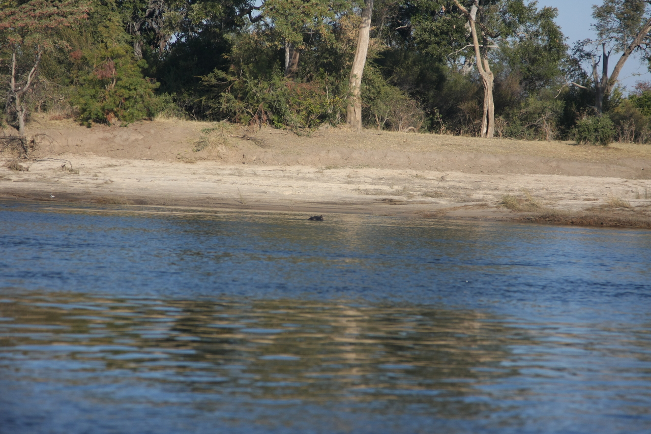 [33280] 2016_07_04_10_16_42_Africa_Canon_EOS_40D_IMG__13105.jpg