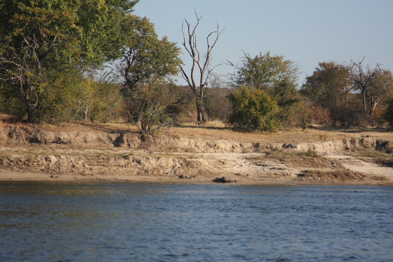 [33284] 2016_07_04_10_26_28_Africa_Canon_EOS_40D_IMG__05661.jpg