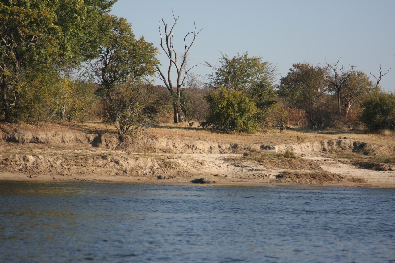 [33288] 2016_07_04_10_26_30_Africa_Canon_EOS_40D_IMG__00028.jpg