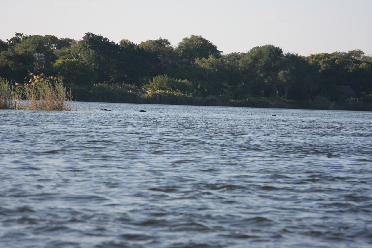 [33305] 2016_07_04_10_29_00_Africa_Canon_EOS_40D_IMG__05668.jpg