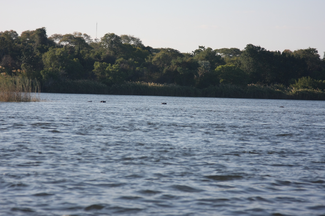 [33325] 2016_07_04_10_29_17_Africa_Canon_EOS_40D_IMG__05675.jpg
