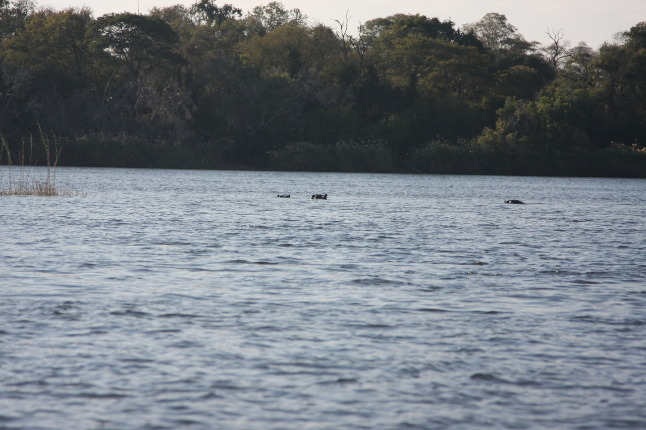 [33339] 2016_07_04_10_29_48_Africa_Canon_EOS_40D_IMG__13126.jpg