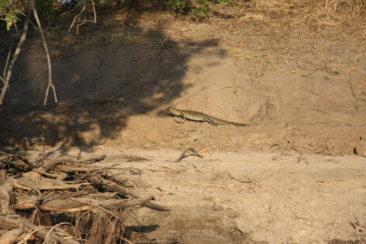 [33357] 2016_07_04_11_07_58_Africa_Canon_EOS_40D_IMG__00053.jpg