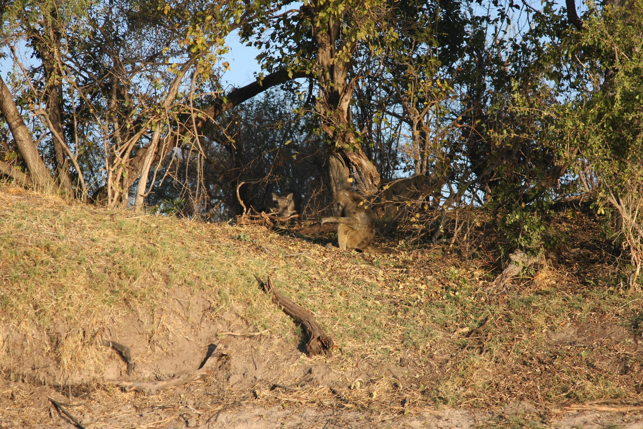 [33426] 2016_07_04_11_14_28_Africa_Canon_EOS_40D_IMG__13158.jpg