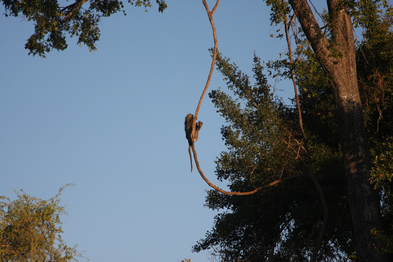 [33563] 2016_07_04_11_16_17_Africa_Canon_EOS_40D_IMG__05763.jpg