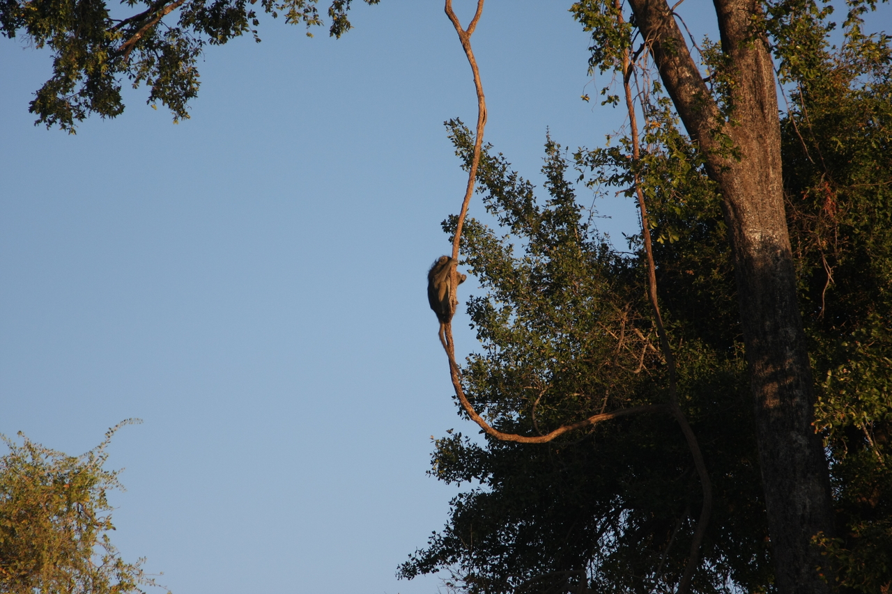 [33574] 2016_07_04_11_16_19_Africa_Canon_EOS_40D_IMG__13214.jpg