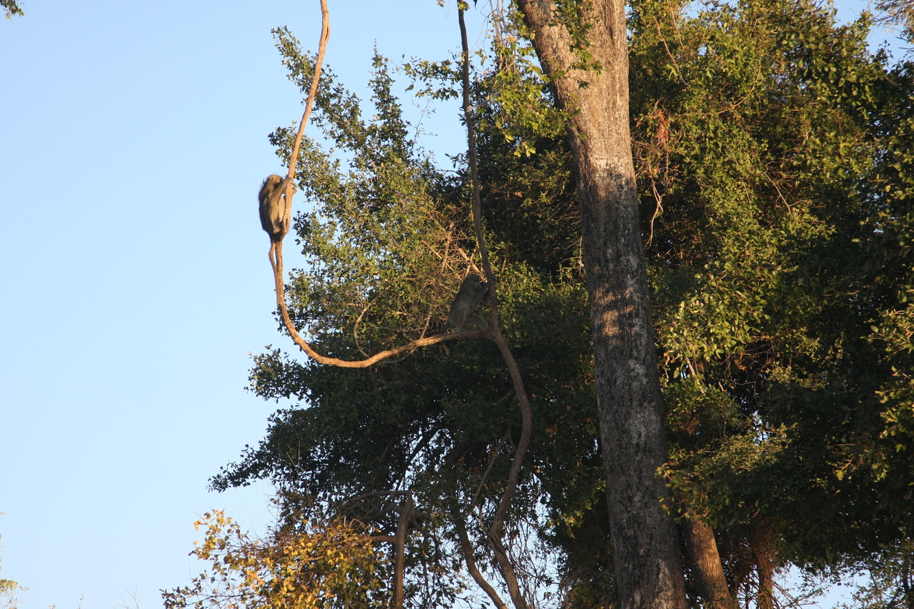 [33603] 2016_07_04_11_16_26_Africa_Canon_EOS_40D_IMG__05778.jpg