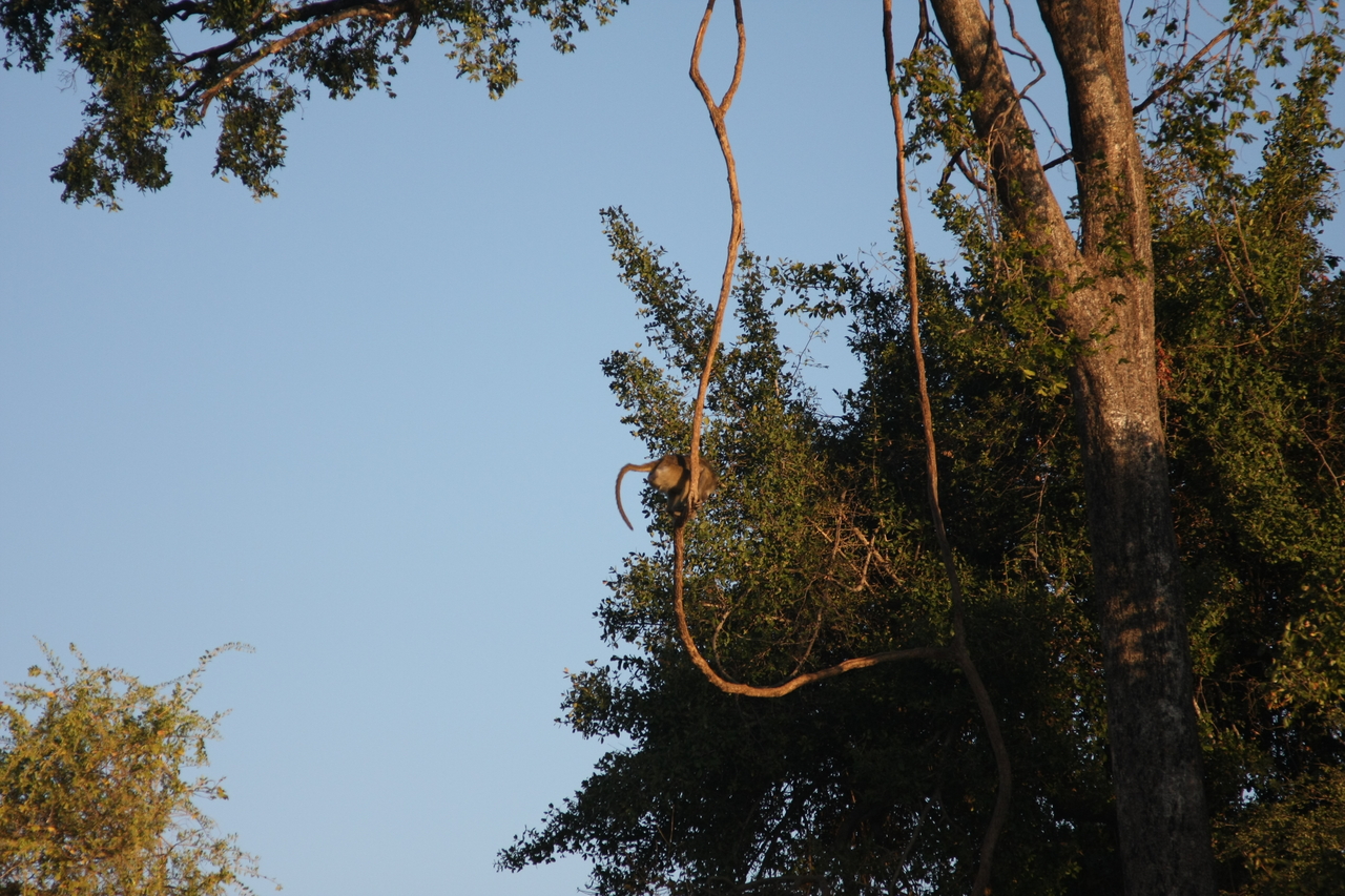 [33657] 2016_07_04_11_16_43_Africa_Canon_EOS_40D_IMG__00164.jpg