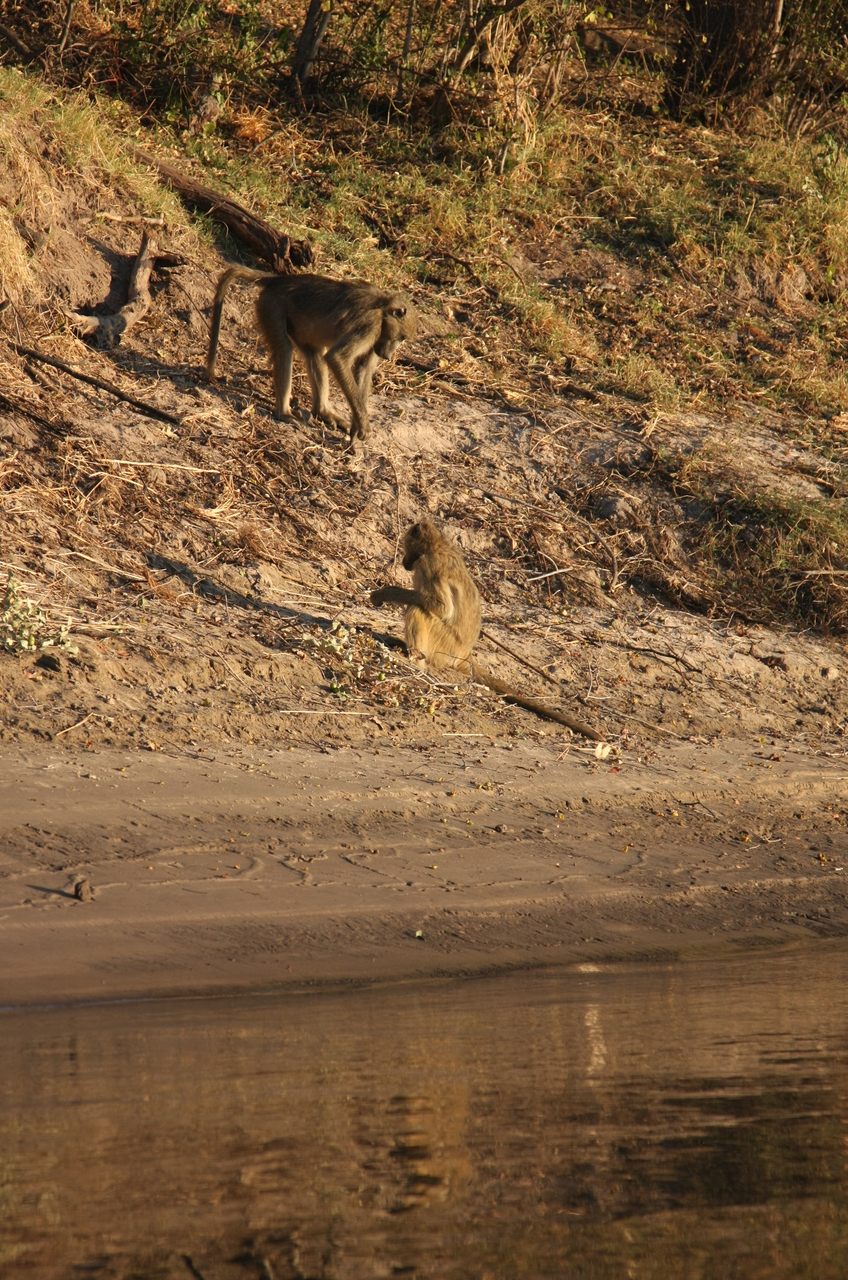 [33804] 2016_07_04_11_20_12_Africa_Canon_EOS_40D_IMG__00218.jpg