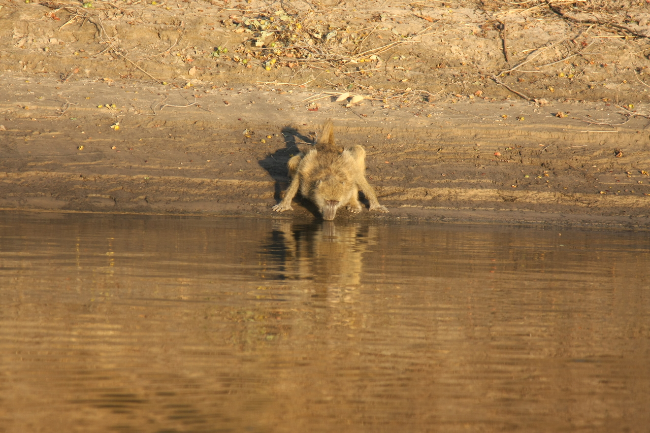[33886] 2016_07_04_11_22_57_Africa_Canon_EOS_40D_IMG__13328.jpg
