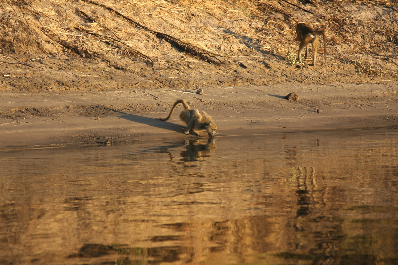 [34052] 2016_07_04_11_30_39_Africa_Canon_EOS_40D_IMG__00308.jpg