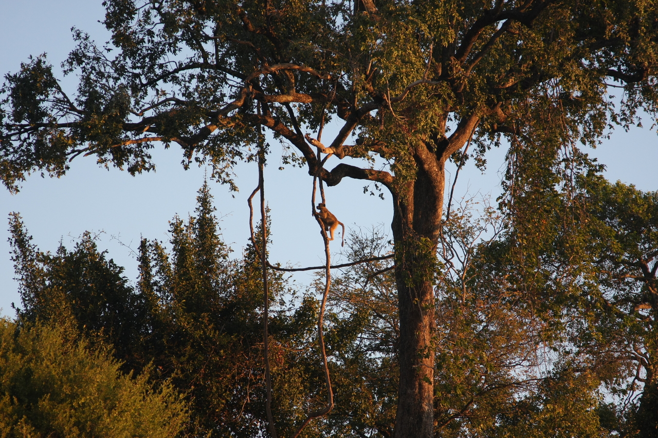 [34083] 2016_07_04_11_32_27_Africa_Canon_EOS_40D_IMG__05952.jpg