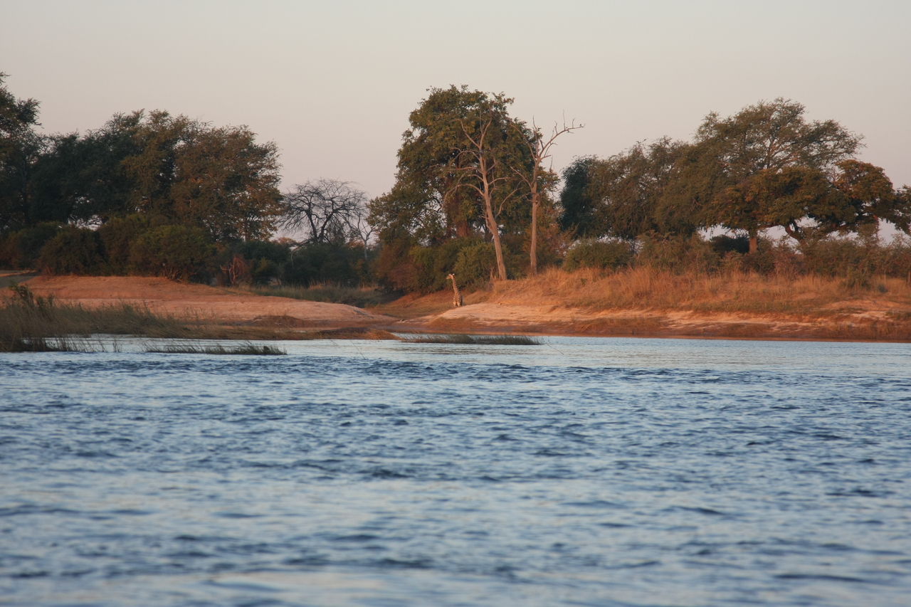 [34122] 2016_07_04_11_38_06_Africa_Canon_EOS_40D_IMG__00332.jpg