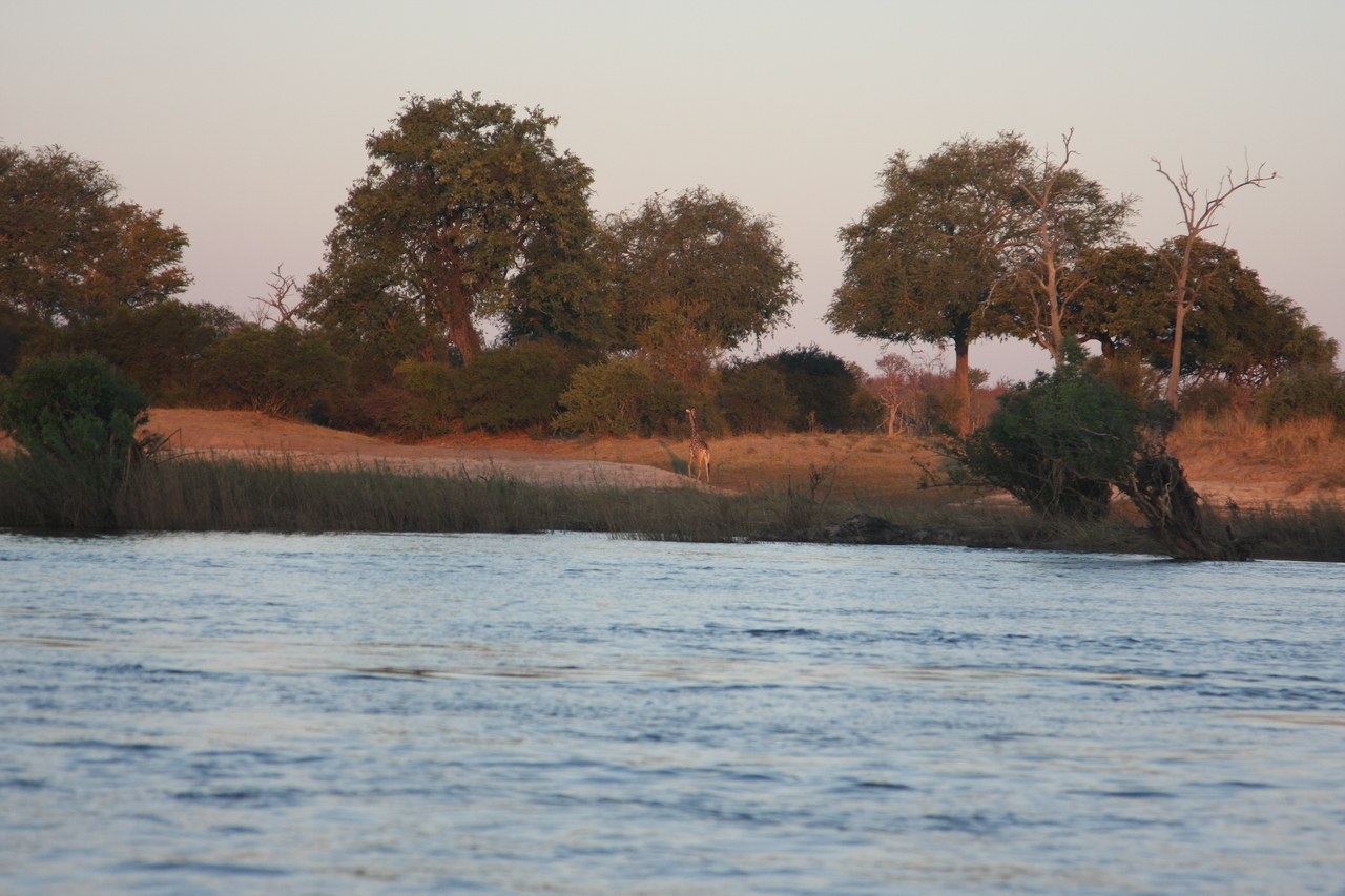 [34148] 2016_07_04_11_39_14_Africa_Canon_EOS_40D_IMG__05976.jpg