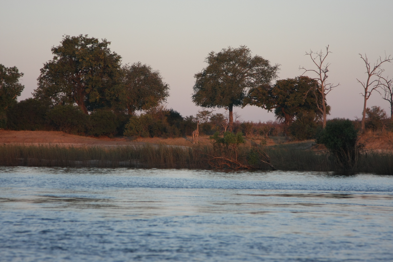 [34160] 2016_07_04_11_39_49_Africa_Canon_EOS_40D_IMG__00346.jpg