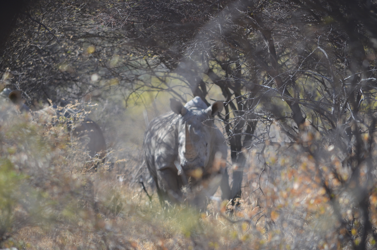[4500] 2016_06_23_00_38_10_Africa_NIKON_D5100_IMG__00022.jpg