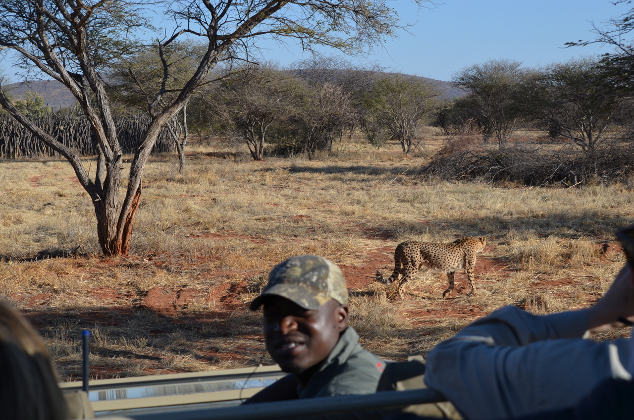 [5116] 2016_06_23_06_57_30_Africa_NIKON_D5100_IMG__00088.jpg